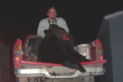 Bear Hunt 2004